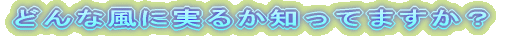ǂȕɎ邩mĂ܂H