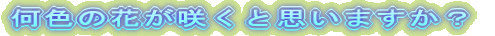 F̉Ԃ炭Ǝv܂H